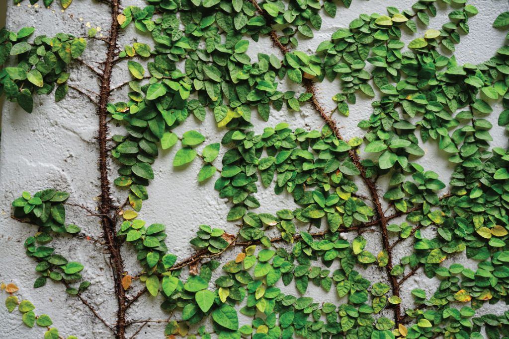 uk-home-improvement-What-Type-of-Concrete-is-Right-for-Your-Garden-Project